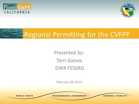 Presented by: Terri Gaines DWR FESSRO February 28, 2014 Regional Permitting for the CVFPP.