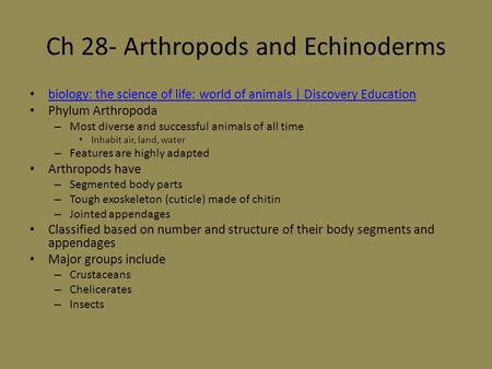 Ch 28- Arthropods and Echinoderms biology: the science of life: world of animals | Discovery Education Phylum Arthropoda – Most diverse and successful.