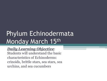Phylum Echinodermata Monday March 15 th Daily Learning Objective: Students will understand the basic characteristics of Echinoderms: crinoids, brittle.