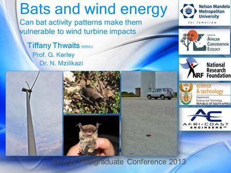 Bats and wind energy Can bat activity patterns make them vulnerable to wind turbine impacts Tiffany Thwaits NMMU Prof. G. Kerley Dr. N. Mzilikazi Energy.