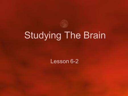 Studying The Brain Lesson 6-2.