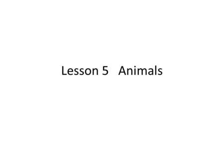 Lesson 5 Animals. 1.million n. 百萬 He made two million dollars last year.