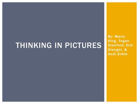 By: Marie King, Tegan Stanford, Erin Stengel, & Andi Zirkle THINKING IN PICTURES.