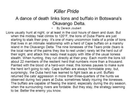 Killer Pride A dance of death links lions and buffalo in Botswana's Okavango Delta. By Dereck Joubert Lions usually hunt at night, or at least in the cool.