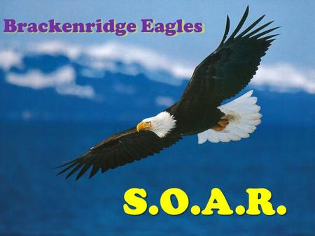 Brackenridge Eagles S.O.A.R.. What is PBIS? Use of evidence-based strategies/systems to: – increase academic performance and safety – decrease problem.