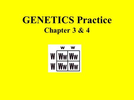 GENETICS Practice Chapter 3 & 4