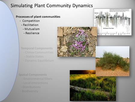 Simulating Plant Community Dynamics Processes of plant communities - Competition - Facilitation - Mutualism - Resilience Temporal Components - Climax Communities.