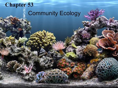 Copyright © 2005 Pearson Education, Inc. publishing as Benjamin Cummings Chapter 53 Community Ecology.