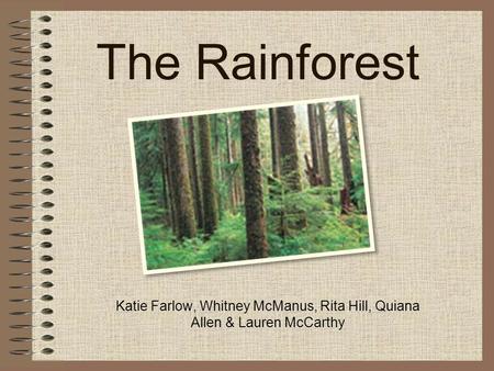 The Rainforest Katie Farlow, Whitney McManus, Rita Hill, Quiana Allen & Lauren McCarthy.