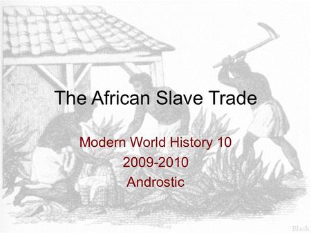 The African Slave Trade Modern World History 10 2009-2010 Androstic.