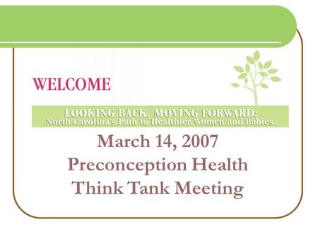 March 14, 2007 Preconception Health Think Tank Meeting.