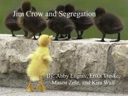 Jim Crow and Segregation By: Abby Engrav, Erika Treske, Mason Zehr, and Kira Wall.