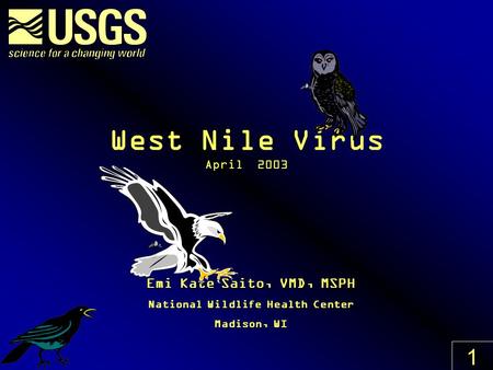 West Nile Virus April 2003 Emi Kate Saito, VMD, MSPH National Wildlife Health Center Madison, WI 1.