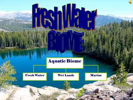 Fresh Water BIOME Wet Lands Fresh Water Marine Aquatic Biome.