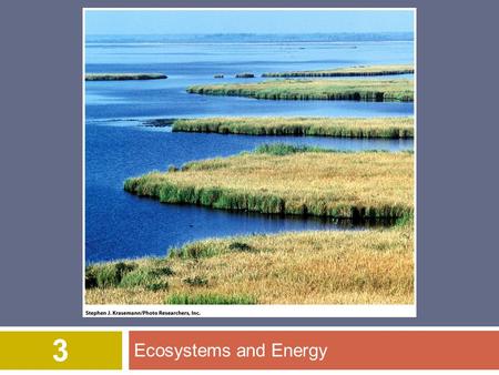 Ecosystems and Energy 3. © 2012 John Wiley & Sons, Inc. All rights reserved. Overview of Chapter 3  What is Ecology?  The Energy of Life  Laws of Thermodynamics.