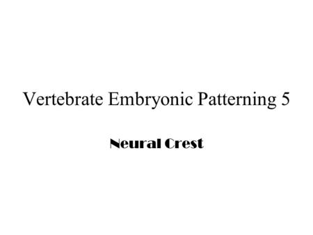 Vertebrate Embryonic Patterning 5 Neural Crest. Neural Crest Cells.