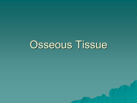 Osseous Tissue. Function of Bone  Support  Mineral storage  Protection  Leverage  Blood cell production –erythropoietin.