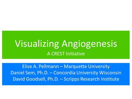 Visualizing Angiogenesis A CREST Initiative Elise A. Pellmann – Marquette University Daniel Sem, Ph.D. – Concordia University Wisconsin David Goodsell,