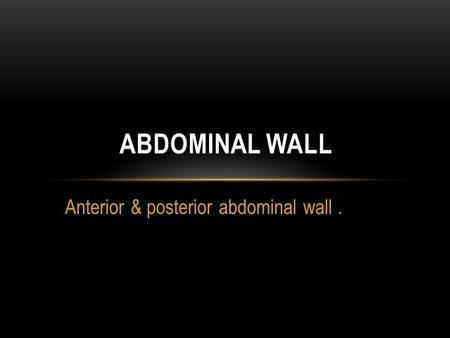 Anterior & posterior abdominal wall .