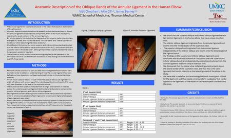 Anatomic Description of the Oblique Bands of the Annular Ligament in the Human Elbow Vijit Chouhan 1, Akin Cil 1,2, James Barnes 1,2 1 UMKC School of Medicine,