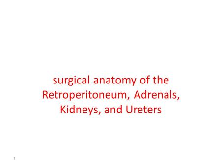 There is no greater aid to surgical expertise than an intimate knowledge of anatomy. For the urologist, the areas of greatest importance are the retroperitoneum.