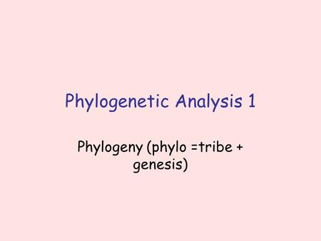 Phylogenetic Analysis 1 Phylogeny (phylo =tribe + genesis)