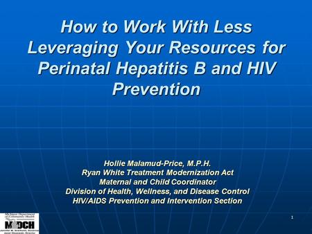 1 How to Work With Less Leveraging Your Resources for Perinatal Hepatitis B and HIV Prevention Hollie Malamud-Price, M.P.H. Ryan White Treatment Modernization.