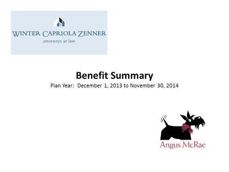 Benefit Summary Plan Year: December 1, 2013 to November 30, 2014.
