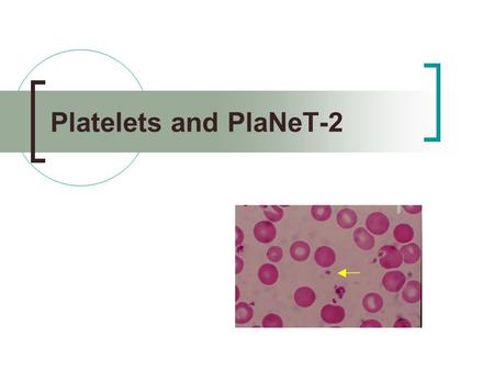 Platelets and PlaNeT-2. Platelets and coagulation Damaged endothelium PLATELETS Adenosine diphosphate (calling effect) CollagenFibrinogen ↓ ↓ PLATELETS.