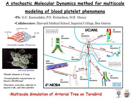 A stochastic Molecular Dynamics method for multiscale modeling of blood platelet phenomena Multiscale Simulation of Arterial Tree on TeraGrid PIs: G.E.