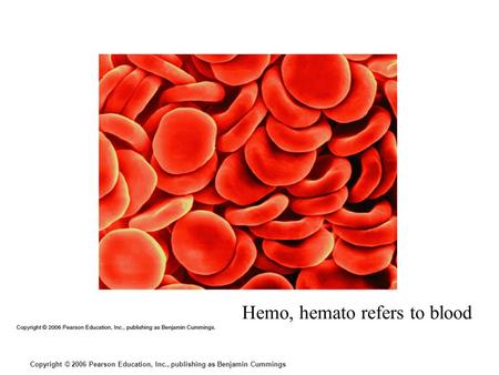Hemo, hemato refers to blood