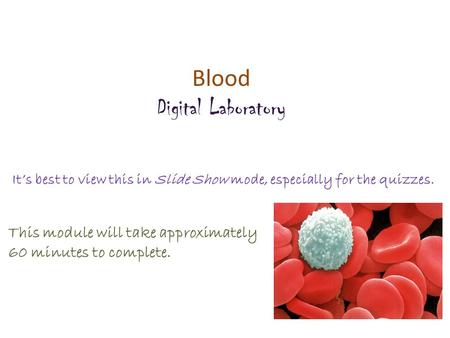 Blood Digital Laboratory