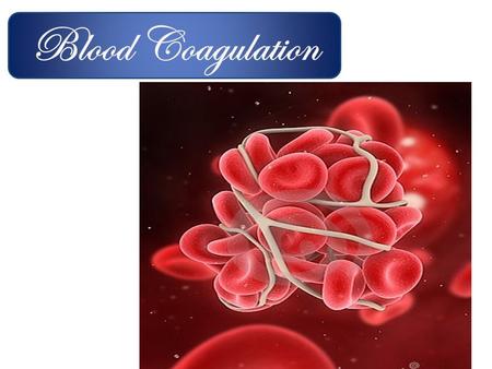 Blood Coagulation.