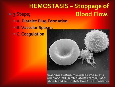 HEMOSTASIS – Stoppage of Blood Flow.
