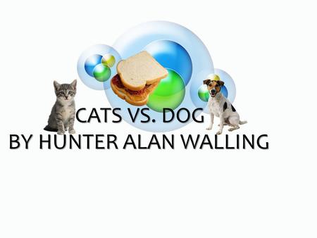 CATS VS. DOG BY HUNTER ALAN WALLING CATS VS. DOG BY HUNTER ALAN WALLING.