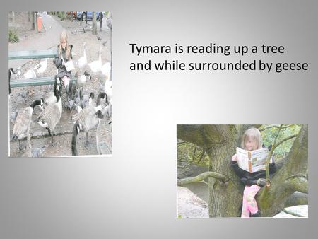 Tymara is reading up a tree and while surrounded by geese.