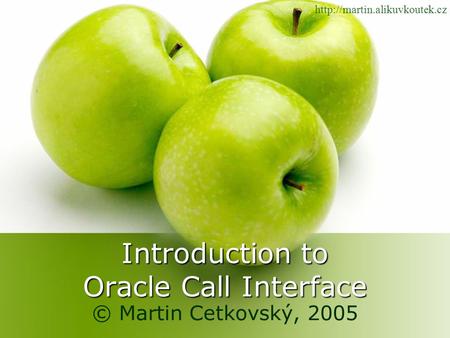 Introduction to Oracle Call Interface © Martin Cetkovský, 2005