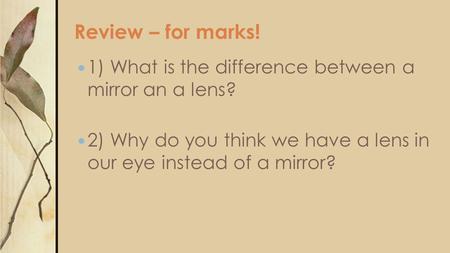 Review – for marks! 1) What is the difference between a mirror an a lens? 2) Why do you think we have a lens in our eye instead of a mirror?