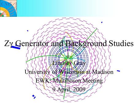 Zγ Generator and Background Studies