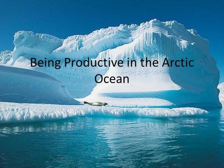 Being Productive in the Arctic Ocean. Where is the Arctic Ocean? The Artic Ocean is also knowns as the ____________ _____________? NorthPole.