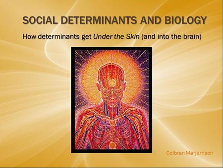 SOCIAL DETERMINANTS AND BIOLOGY How determinants get Under the Skin (and into the brain) Colbran Marjerrison.