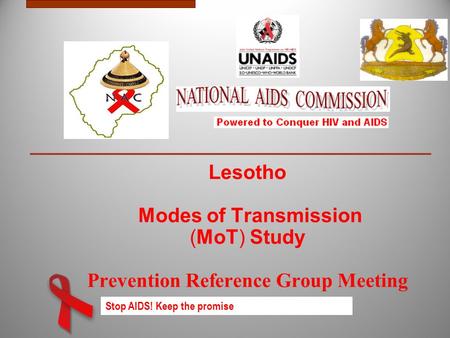 Stop AIDS! Keep the promise Lesotho Modes of Transmission (MoT) Study Prevention Reference Group Meeting.