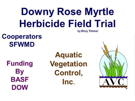 Downy Rose Myrtle Herbicide Field Trial by Elroy Timmer Cooperators SFWMD Aquatic Vegetation Control, Inc. Funding By BASF DOW.