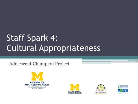 Staff Spark 4: Cultural Appropriateness Adolescent Champion Project.