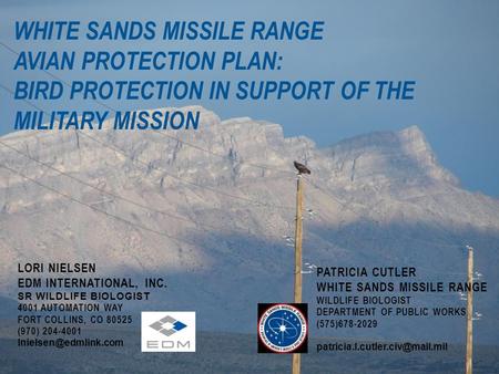 WHITE SANDS MISSILE RANGE AVIAN PROTECTION PLAN: BIRD PROTECTION IN SUPPORT OF THE MILITARY MISSION LORI NIELSEN EDM INTERNATIONAL, INC. SR WILDLIFE BIOLOGIST.
