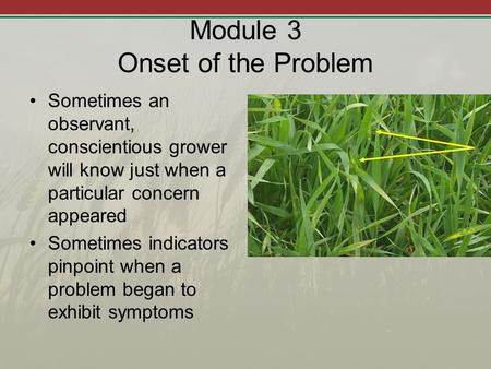 Module 3 Onset of the Problem Sometimes an observant, conscientious grower will know just when a particular concern appeared Sometimes indicators pinpoint.