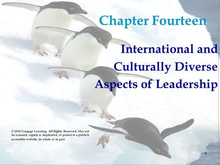 Chapter Fourteen International and Culturally Diverse