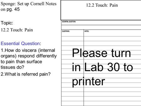 Sponge: Set up Cornell Notes on pg. 45 Topic: 12.2 Touch: Pain Essential Question: 1. How do viscera (internal organs) respond differently to pain than.