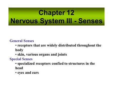 Chapter 12 Nervous System III - Senses