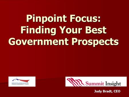 Pinpoint Focus: Finding Your Best Government Prospects Judy Bradt, CEO.